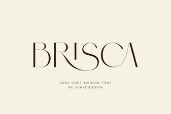 Brisca Font: Stylish Designs & Creative Projects